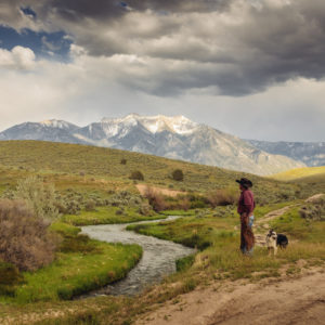 Healthcare and the Insurance Marketplace (Idaho)