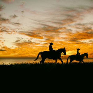 Horse sunset 1 scaled 1